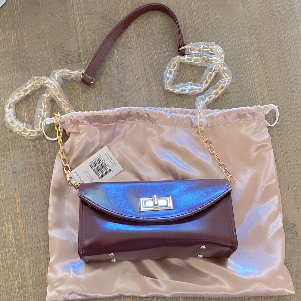 Glass Ladder & Co Sunglasses Case Crossbody NWT